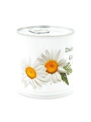 MacFlowers MacFlowers Small Daisy Grow Kit White Edition