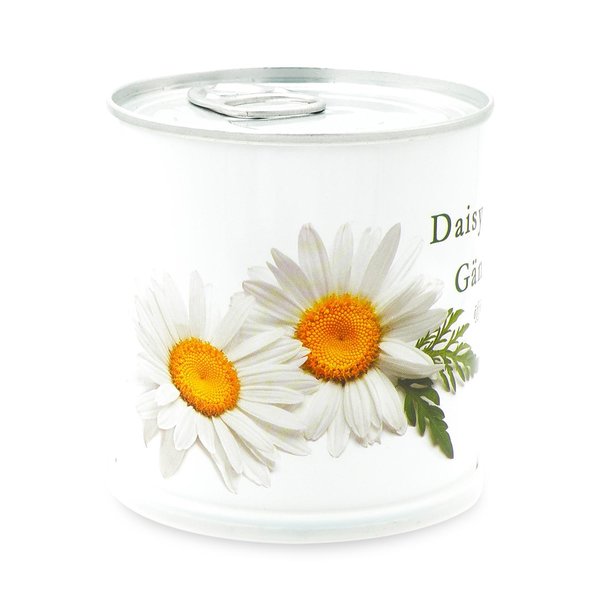 MacFlowers MacFlowers Small Daisy Grow Kit White Edition