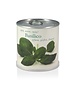 MacFlowers MacFlowers Small Basil Grow Kit