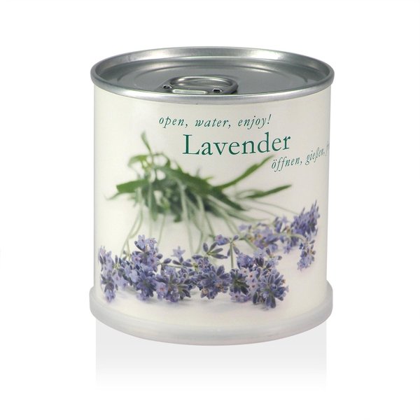 MacFlowers MacFlowers Small Grow Kit with Lavender