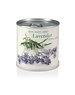 MacFlowers MacFlowers Small Grow Kit with Lavender