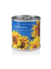 MacFlowers MacFlowers Small Sunflower Grow Kit