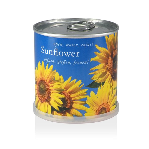 MacFlowers MacFlowers Small Sunflower Grow Kit
