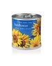 MacFlowers MacFlowers Small Sunflower Grow Kit