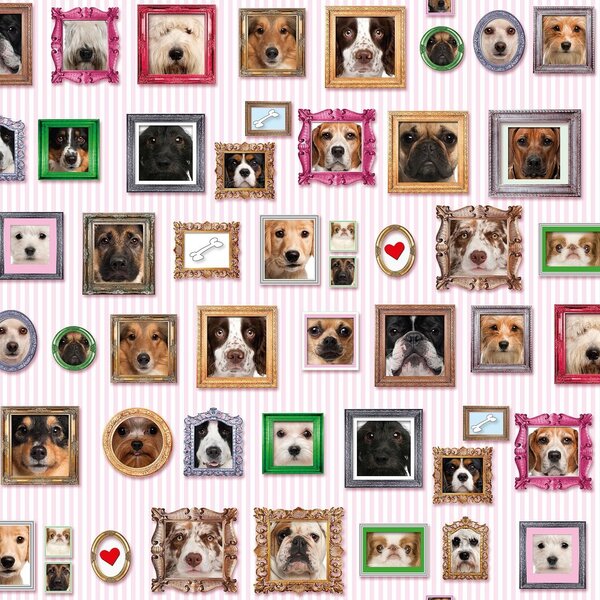 Extragoods Hunde Geschenkpapier Portrait - 3er Set