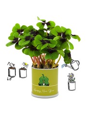 MacFlowers MacFlowers Small Grow Kit with Lucky Clover "Happy New Year!