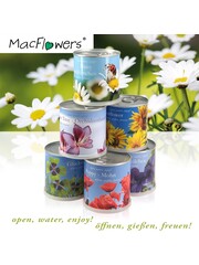 MacFlowers MacFlowers Small Grow Kit with Baby Leaf Picking Lettuce