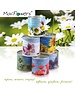 MacFlowers MacFlowers Small Grow Kit with Baby Leaf Picking Lettuce