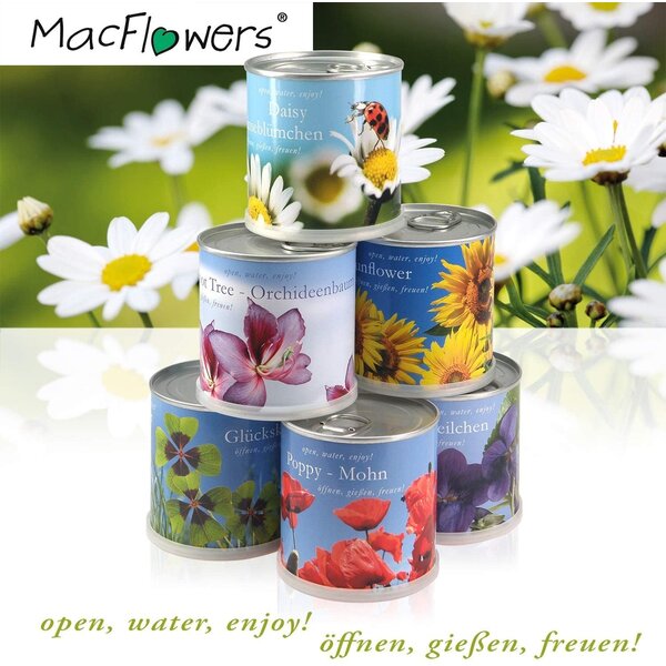 MacFlowers MacFlowers kleines Anzuchtset mit Liebesbaum