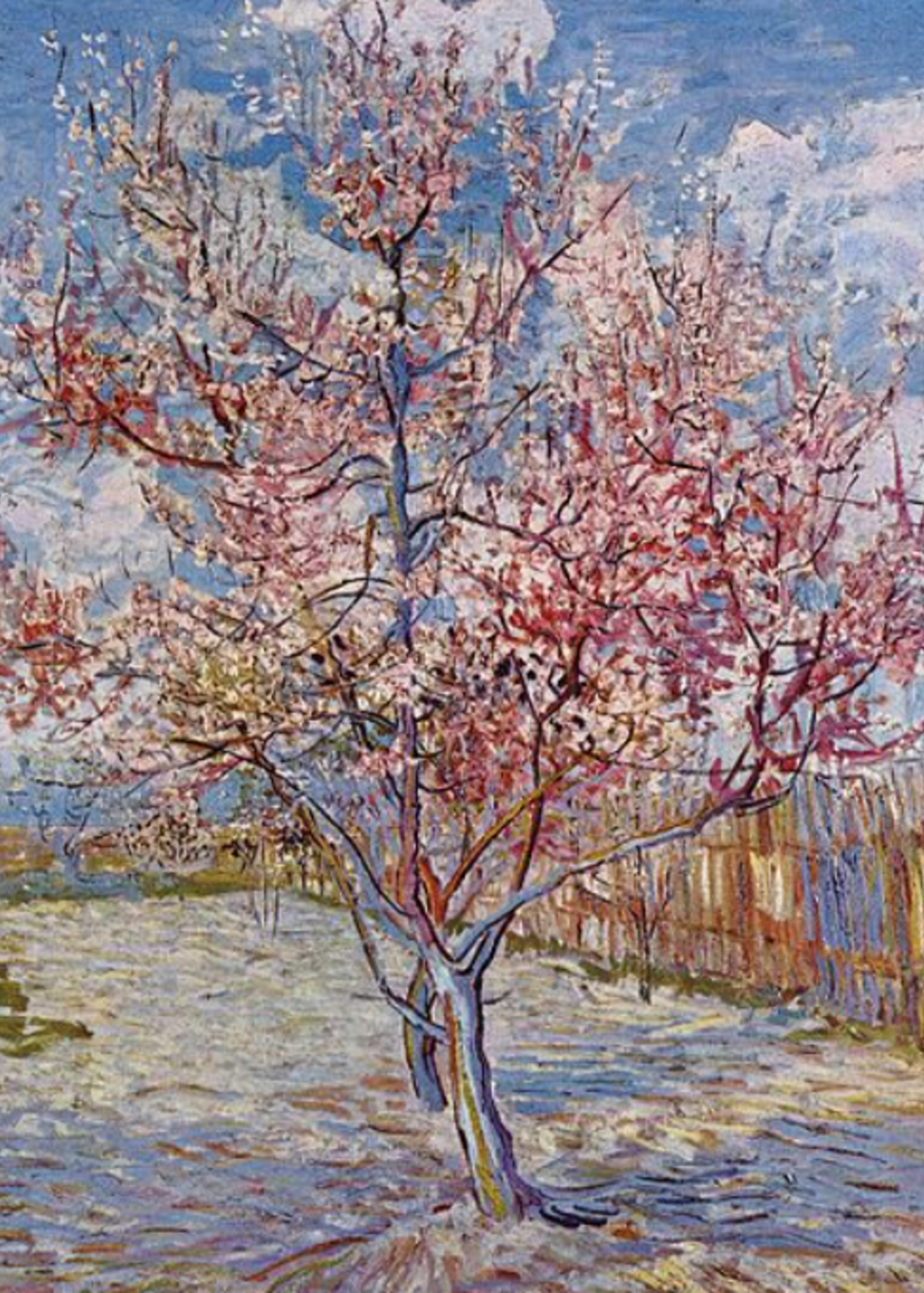 Visconti Van Gogh Souvenir De Mauve Balpen