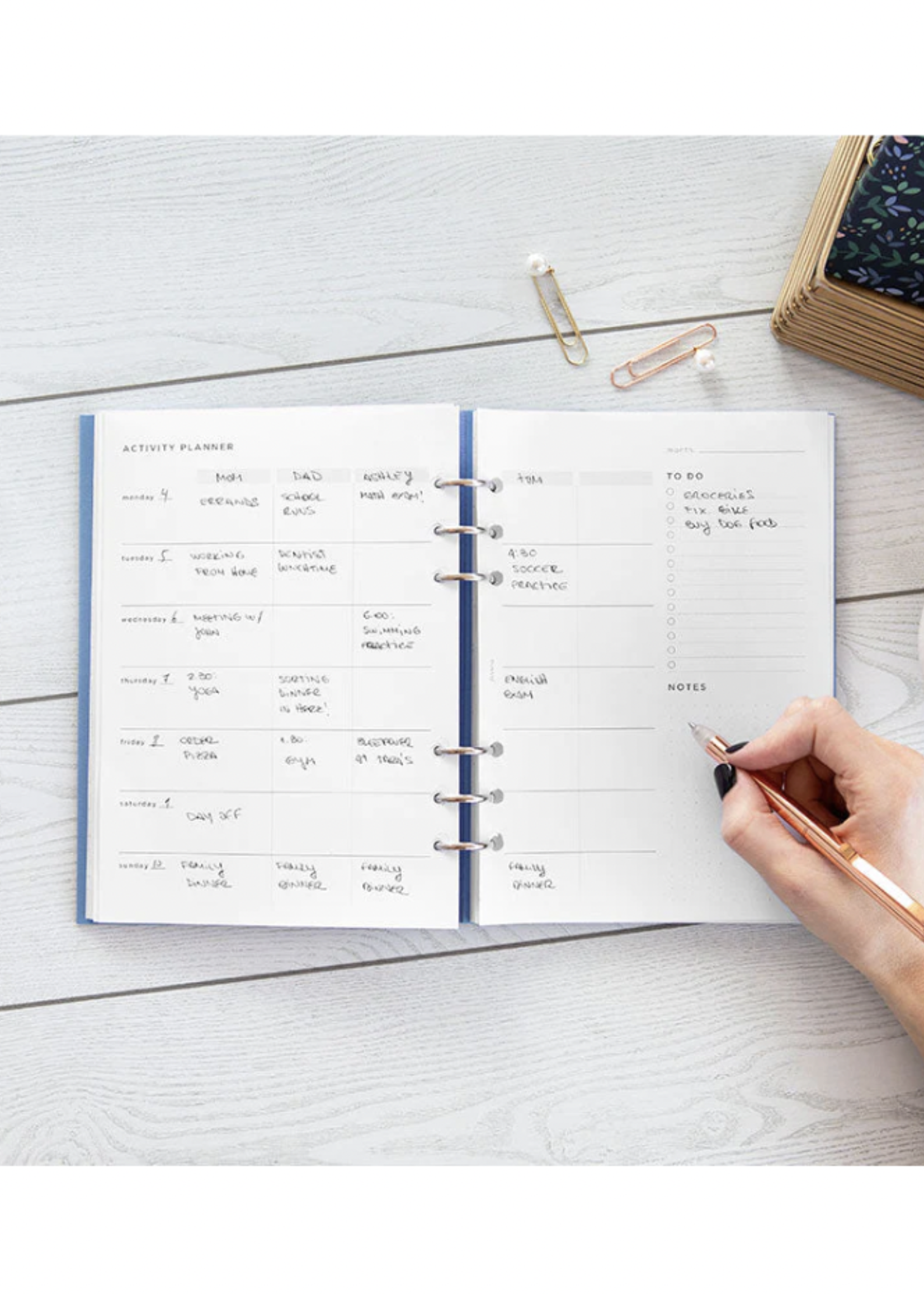 Filofax Organiser Vulling A5 Wit  Activity Planner