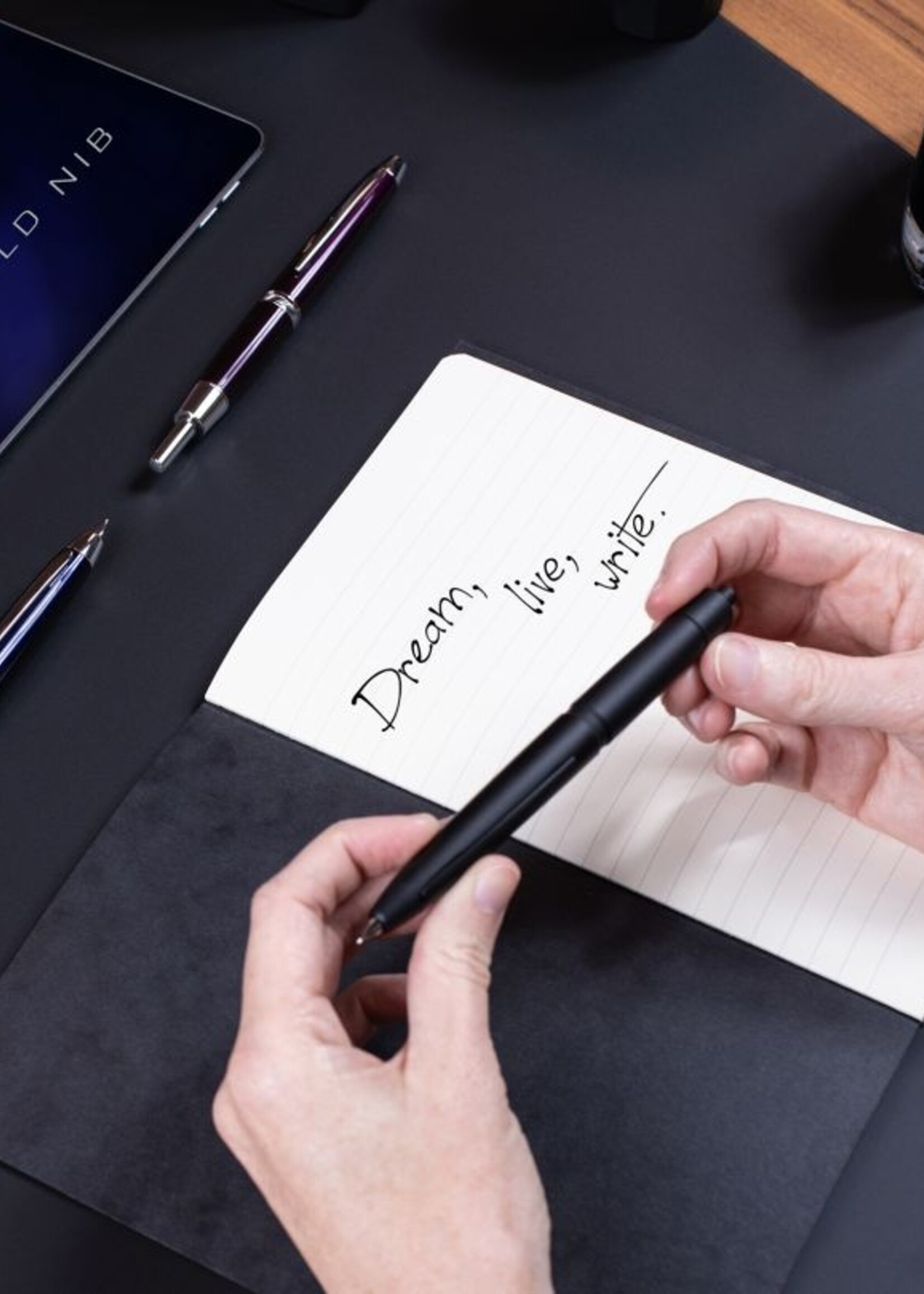 Iroshizuku Inktpot 50ml - Take-Sumi