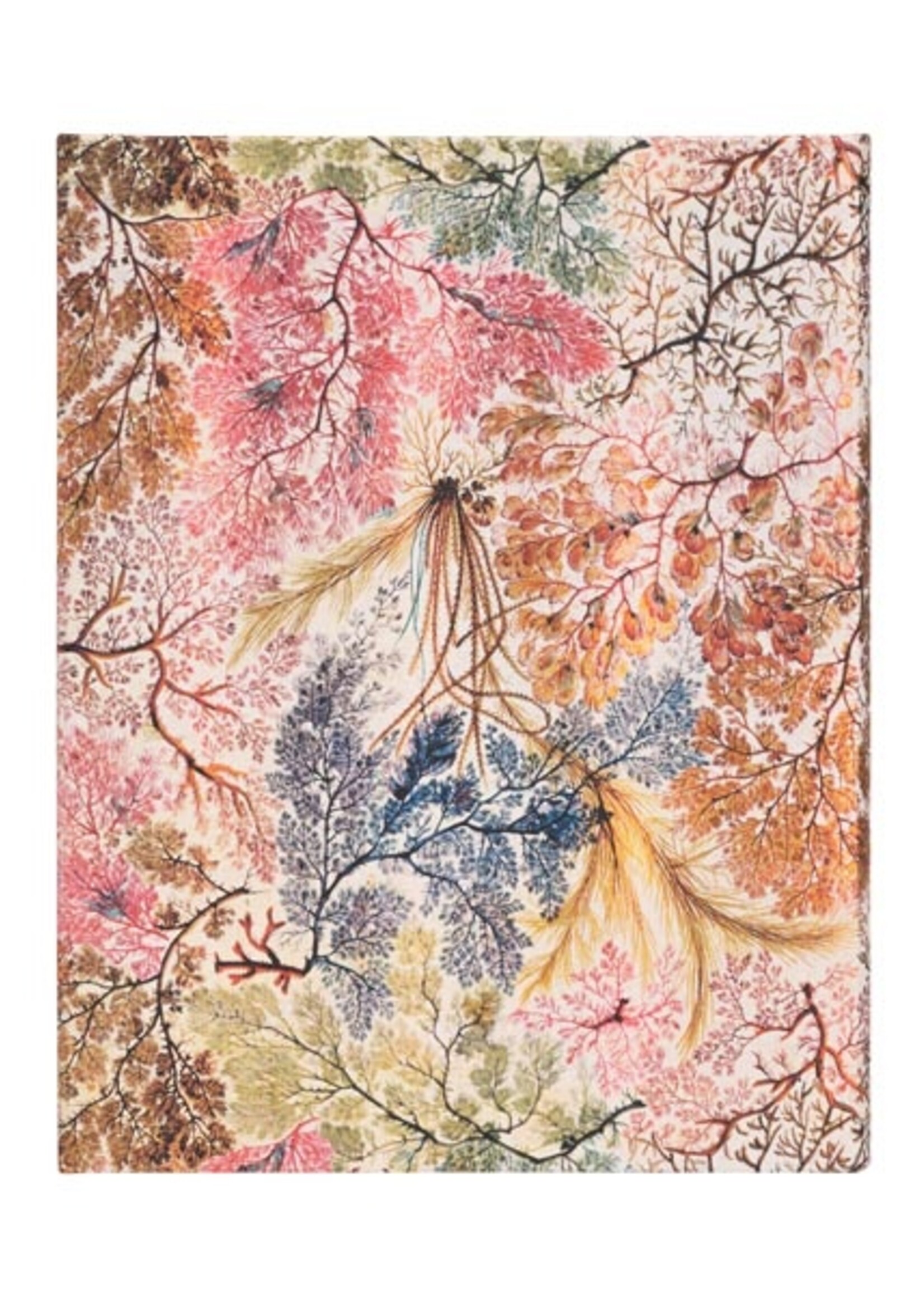 Paperblanks Notebook Ultra A5 Gelijnd William Kilburn / Anemone