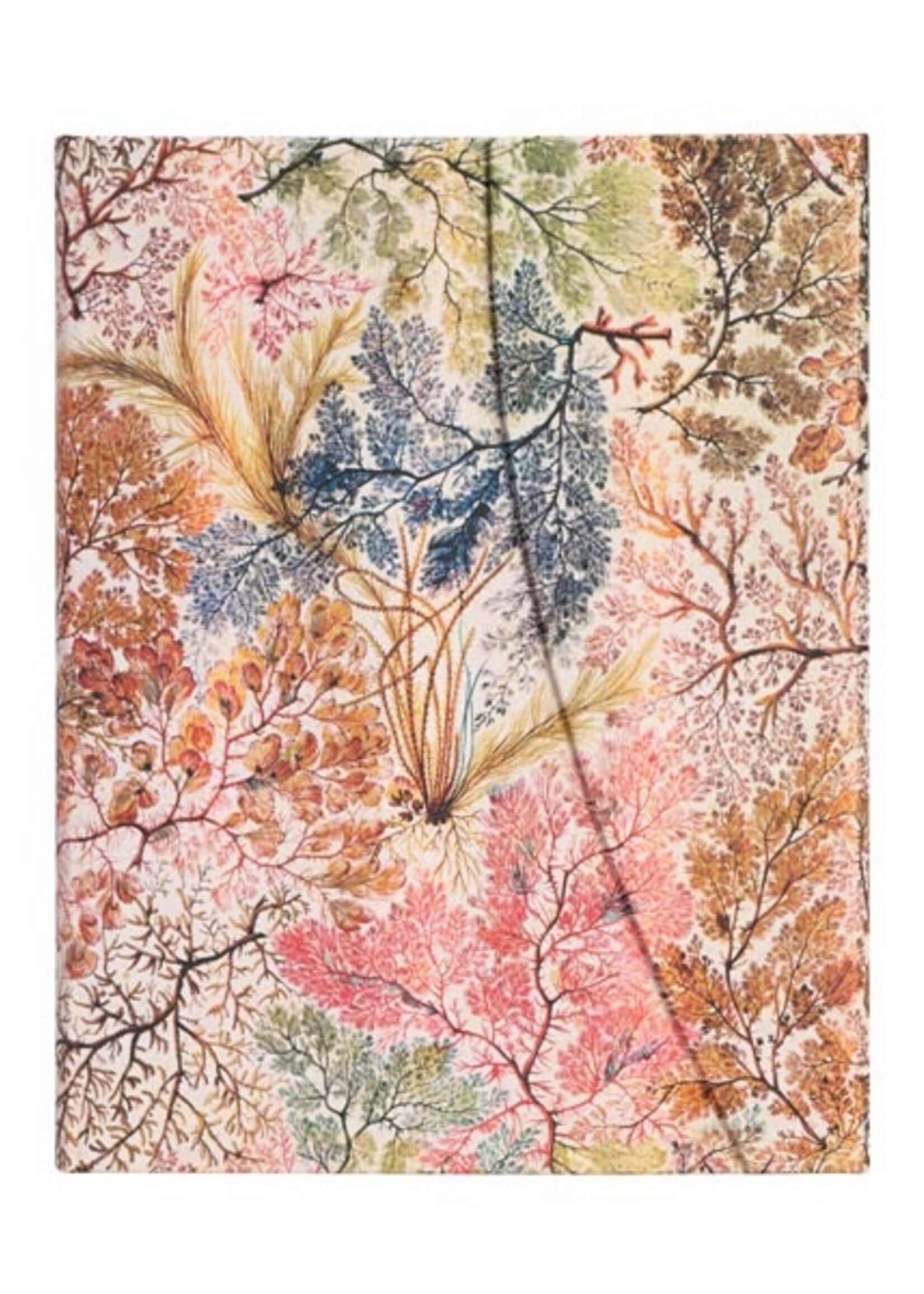 Paperblanks Notebook Ultra A5 Gelijnd William Kilburn / Anemone