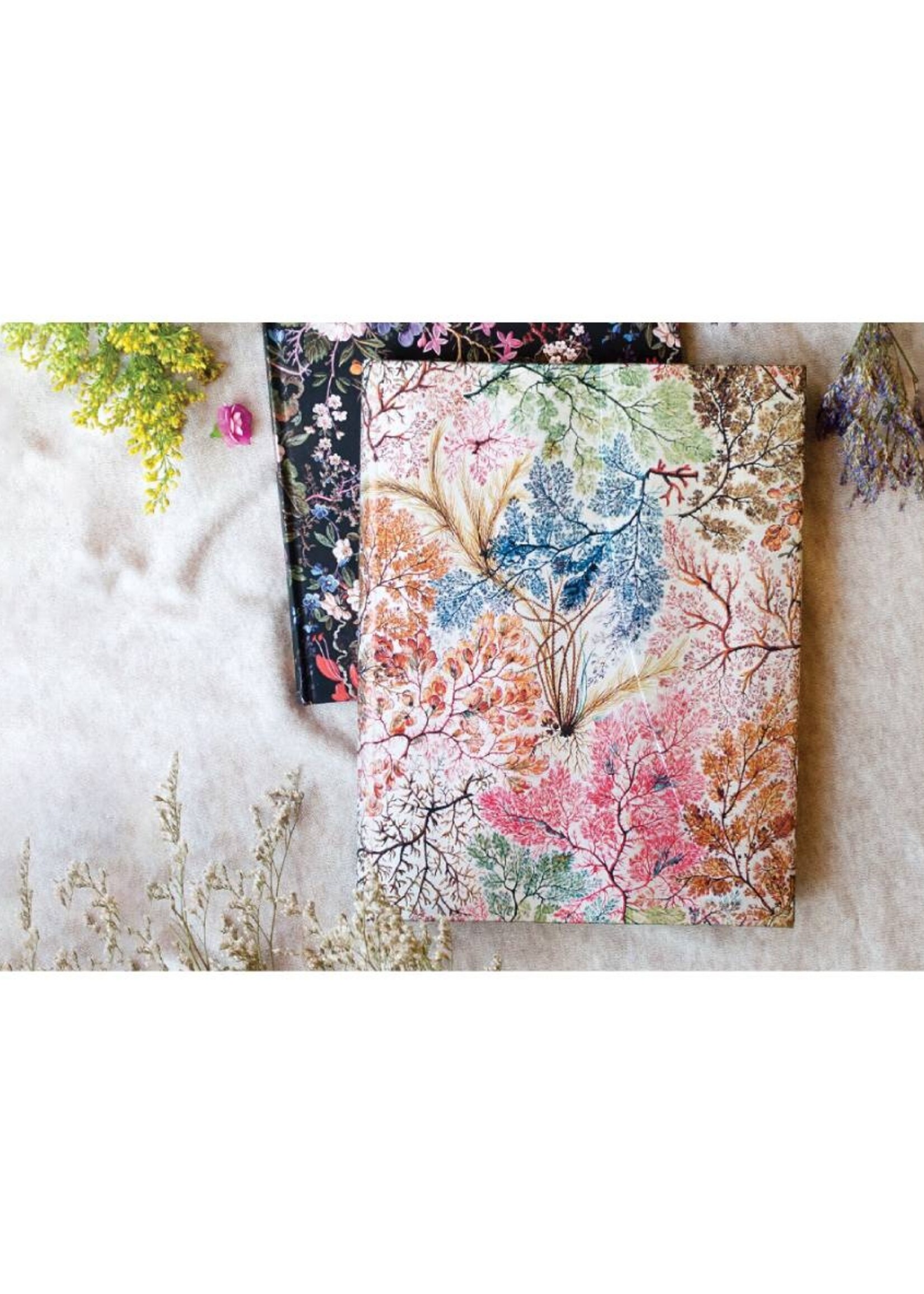 Paperblanks Notebook Ultra A5 Gelijnd William Kilburn / Anemone