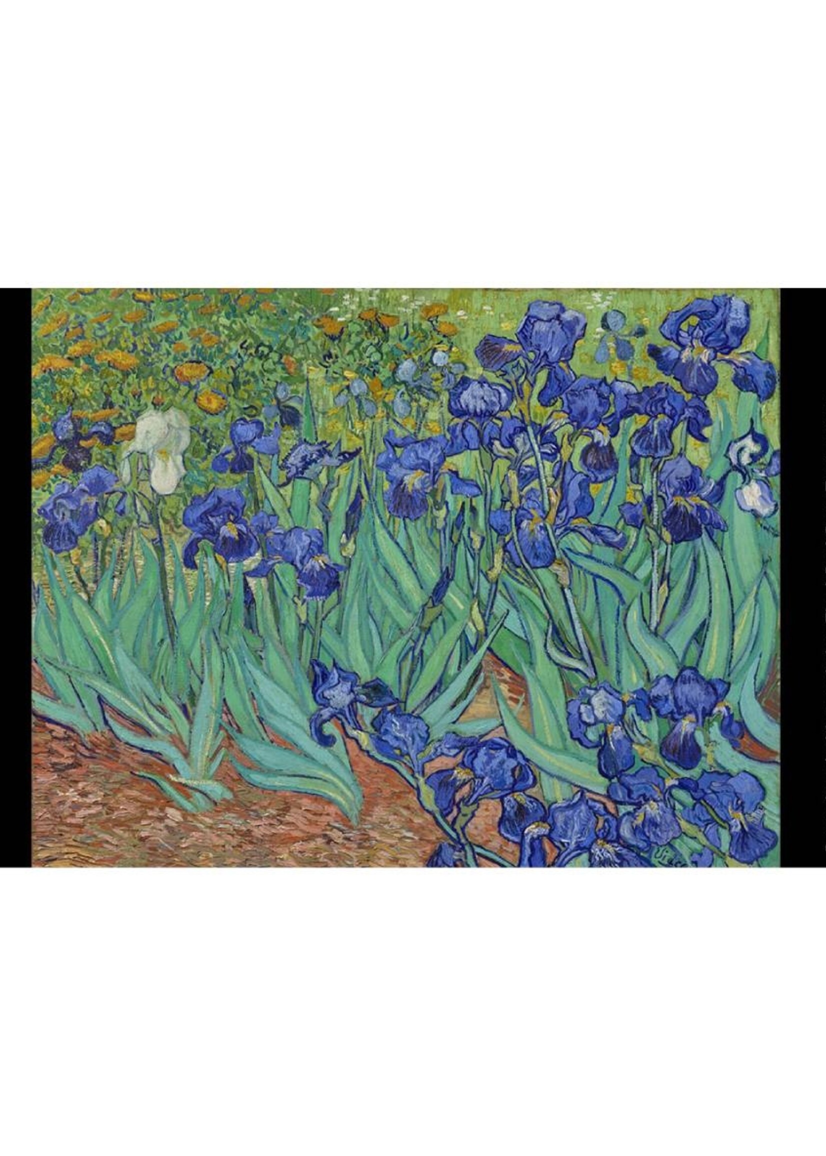 Paperblanks Puzzel /1000 Van Gogh Irisis
