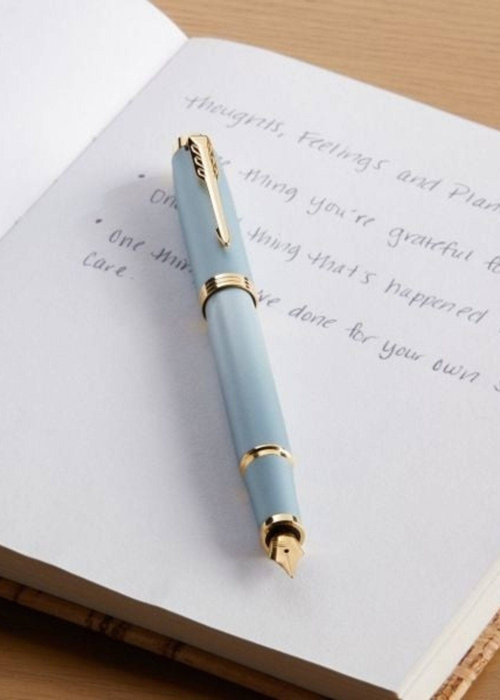 Parker IM Rituals Green GT Vulpen Medium