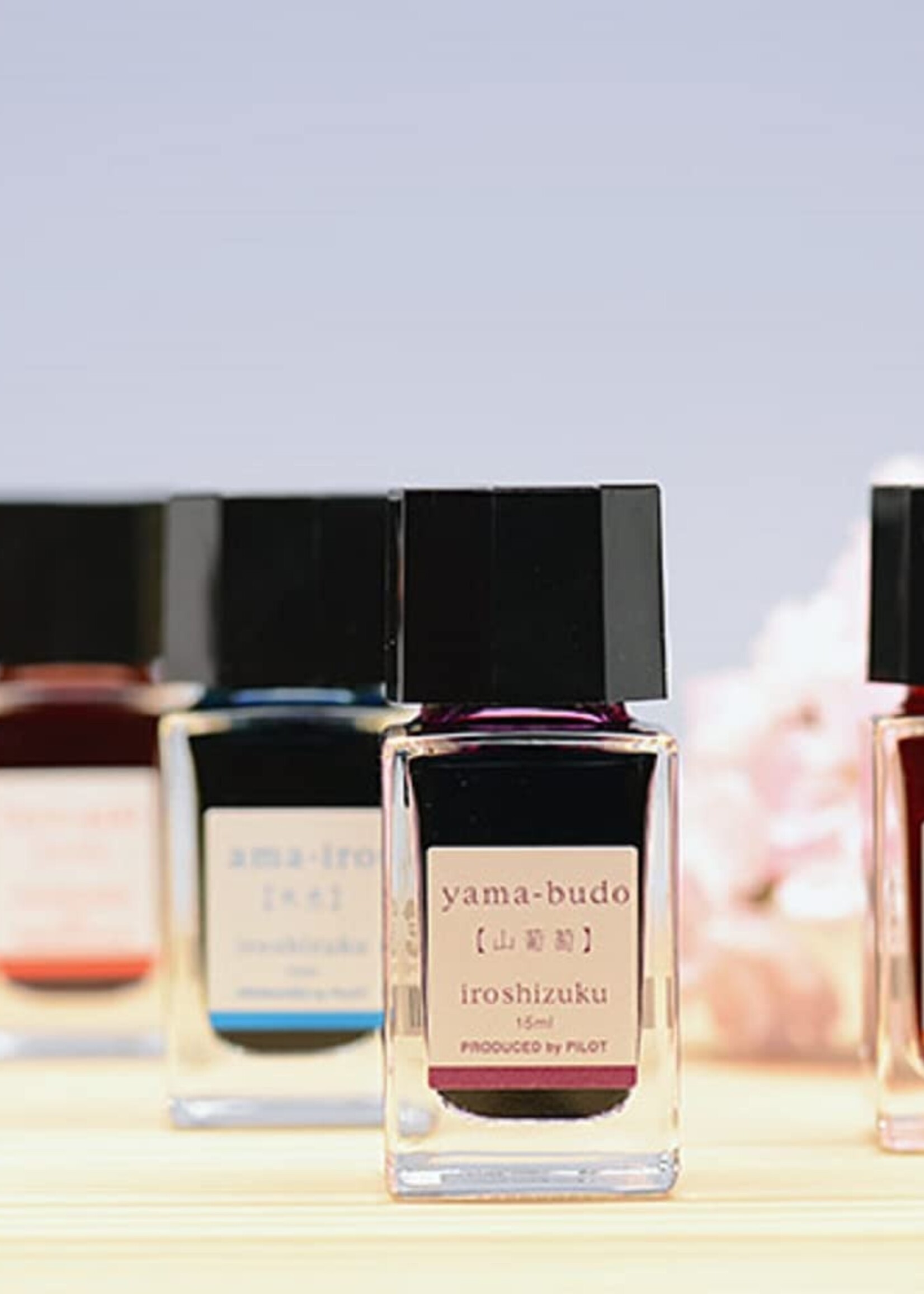 Iroshizuku Inktpot 15ml  Fuyu-Gaki