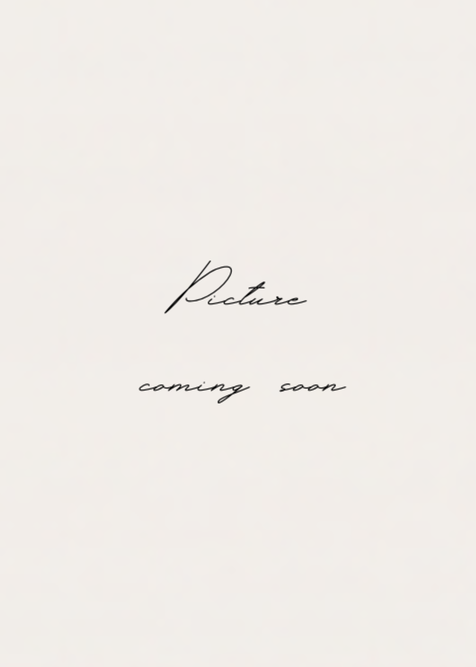 Caran d'Ache 844 Vulpotlood Black/Black 2mm