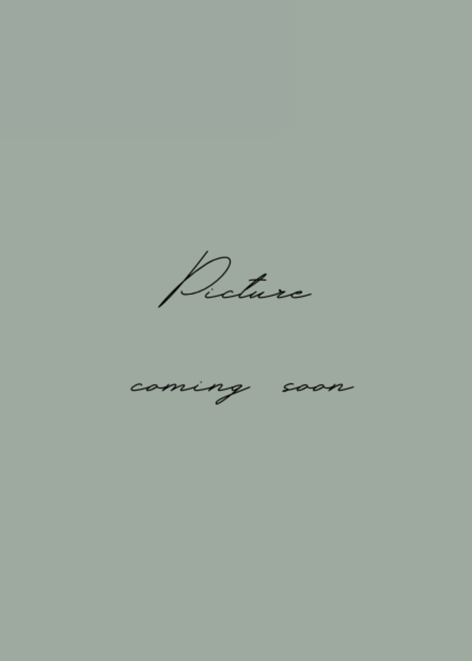 Caran d'Ache 844 Vulpotlood Black/Red 2mm