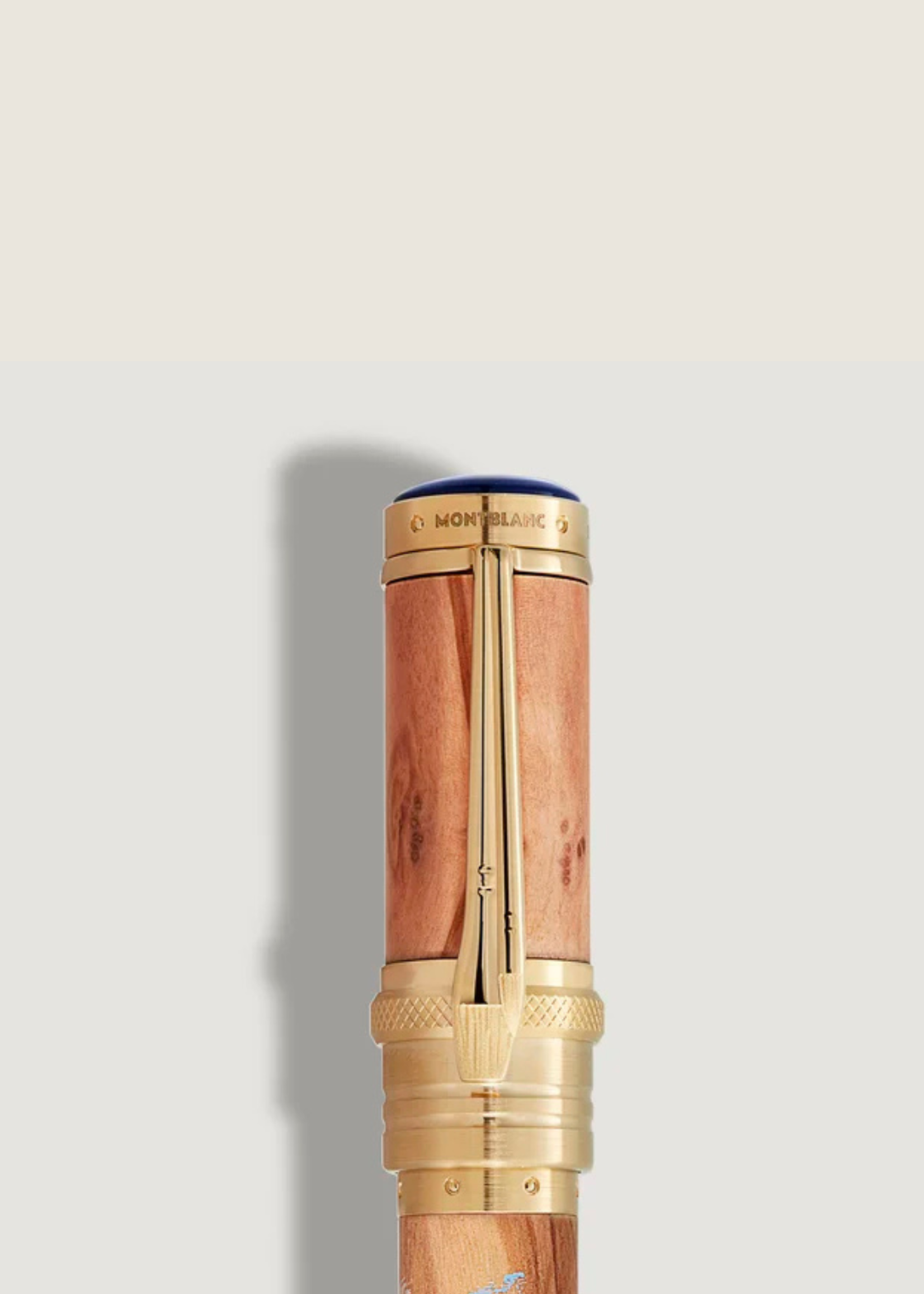 Montblanc Masters of Art Homage to Pierre-Auguste Renoir Limited Edition 4810 Vulpen Fijn