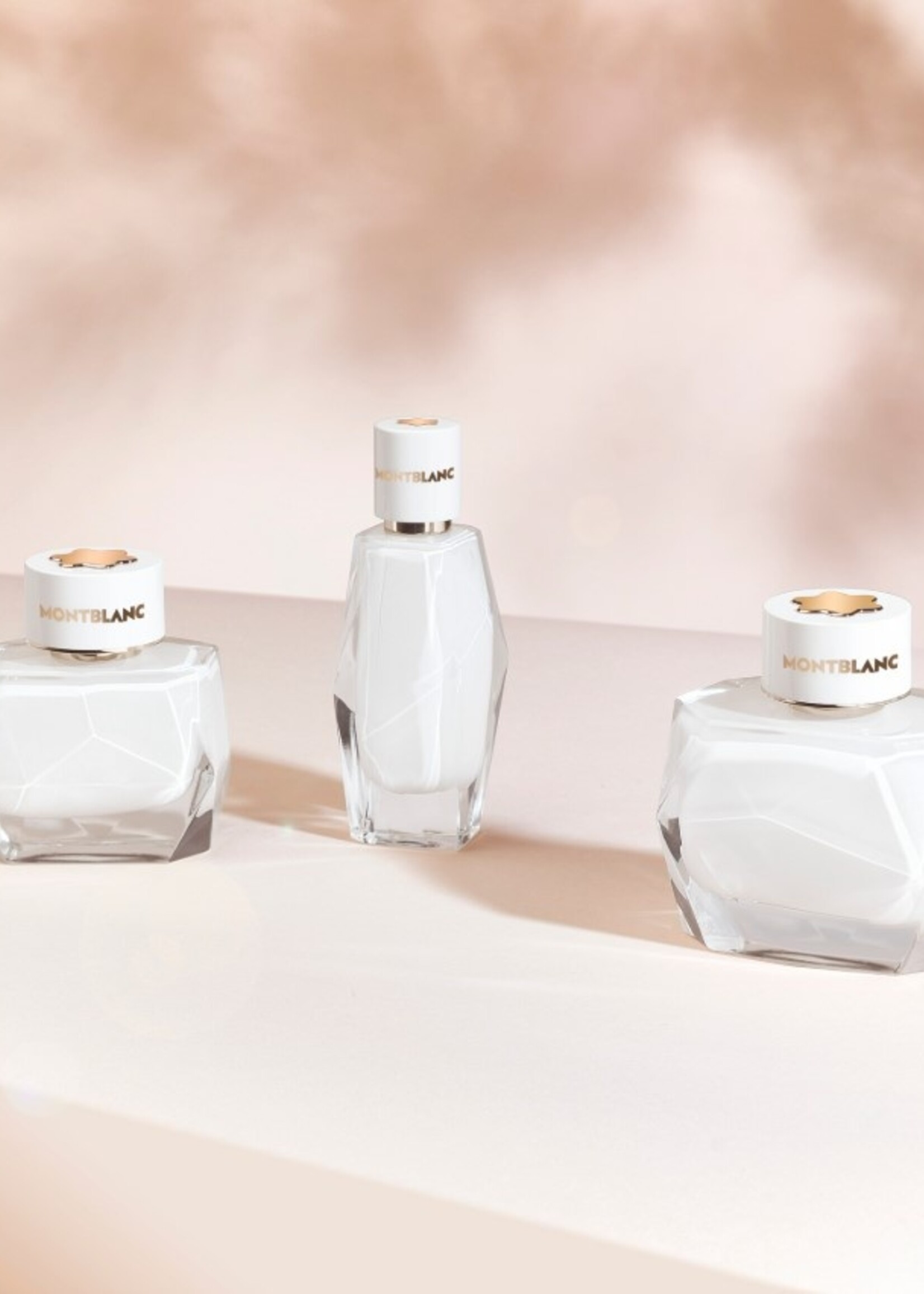 Montblanc Gift Box  Eau de Parfum Signature 50 ml