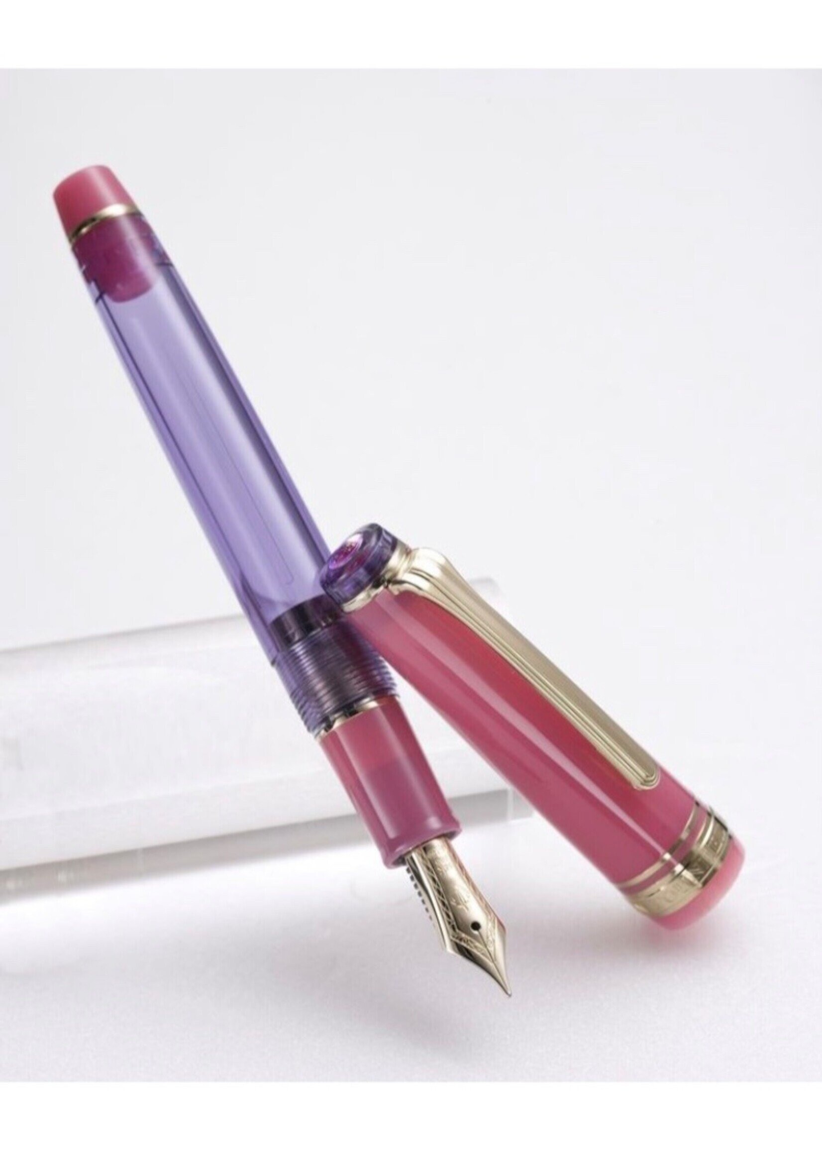 Sailor Professional Gear Slim Manyo II RABBIT EAR IRIS (with Manyo Ink KAKITSUBATA 50ml) GT FP/ M