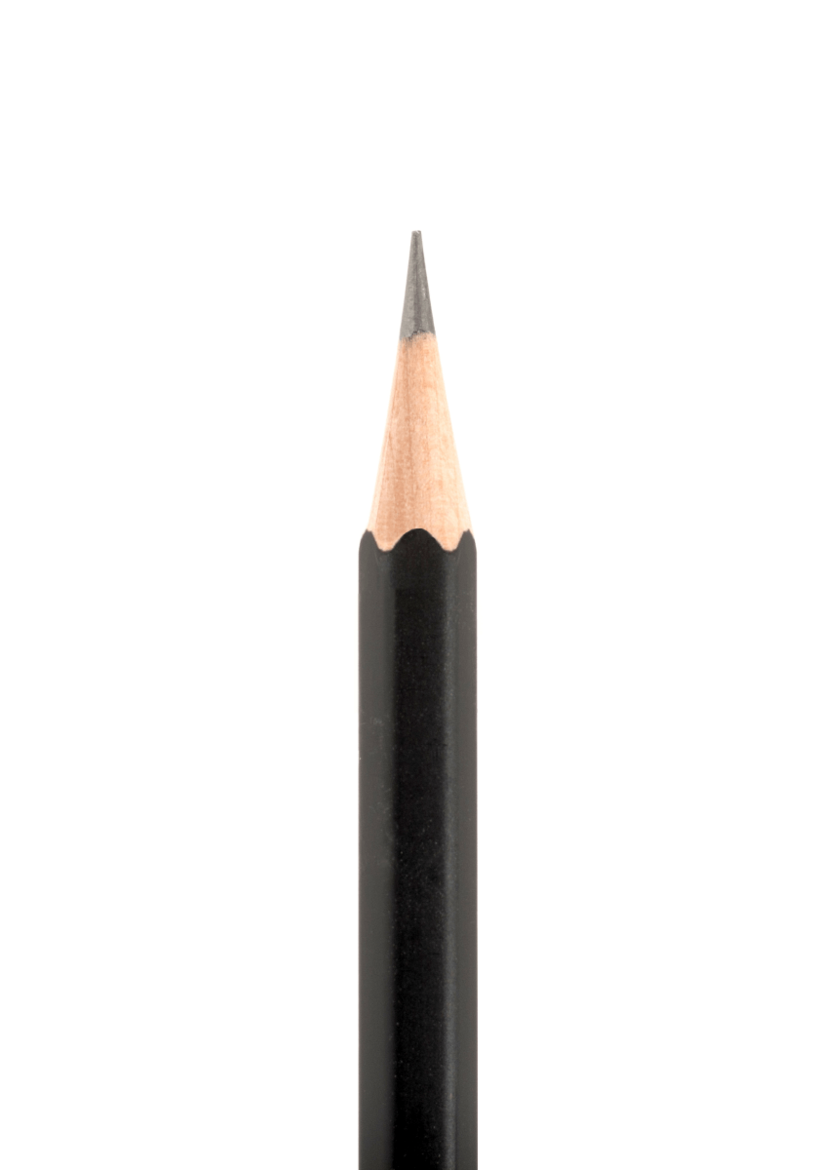 Blackwing Puntenslijper Bureau