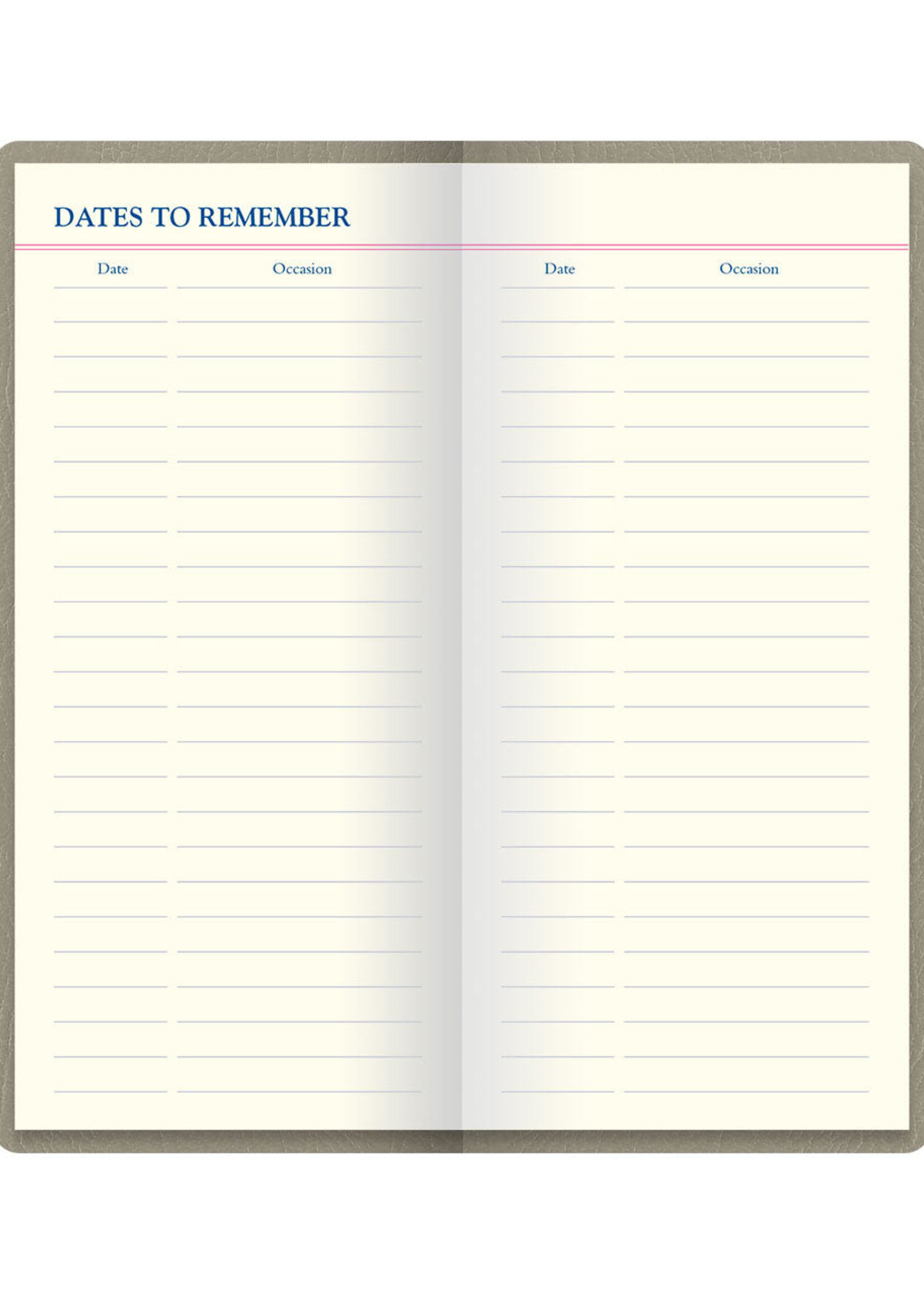 Letts of London Notebook Origins Slim Gelijnd Stone