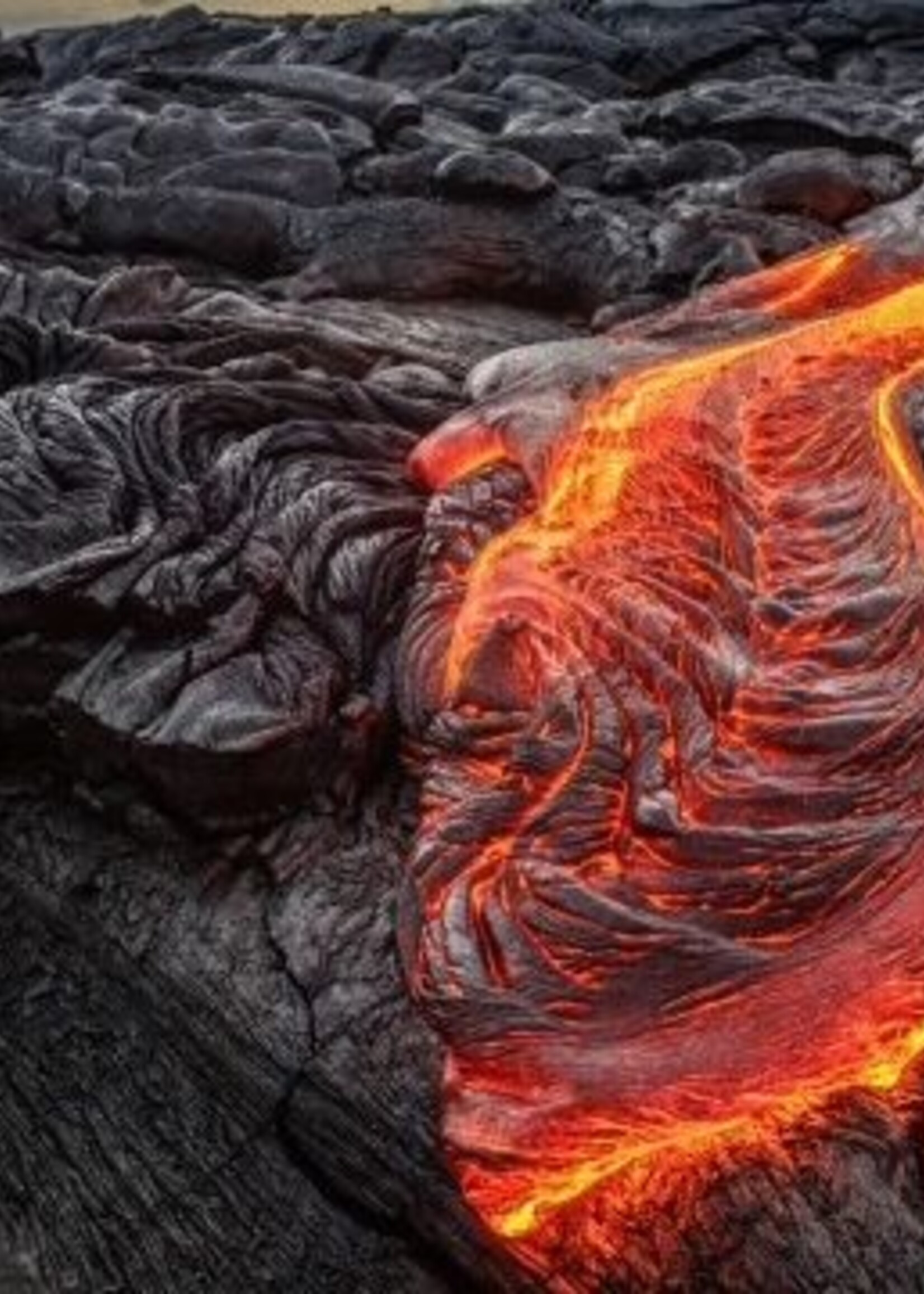 Visconti Homo Sapiens Bronze Vulpen