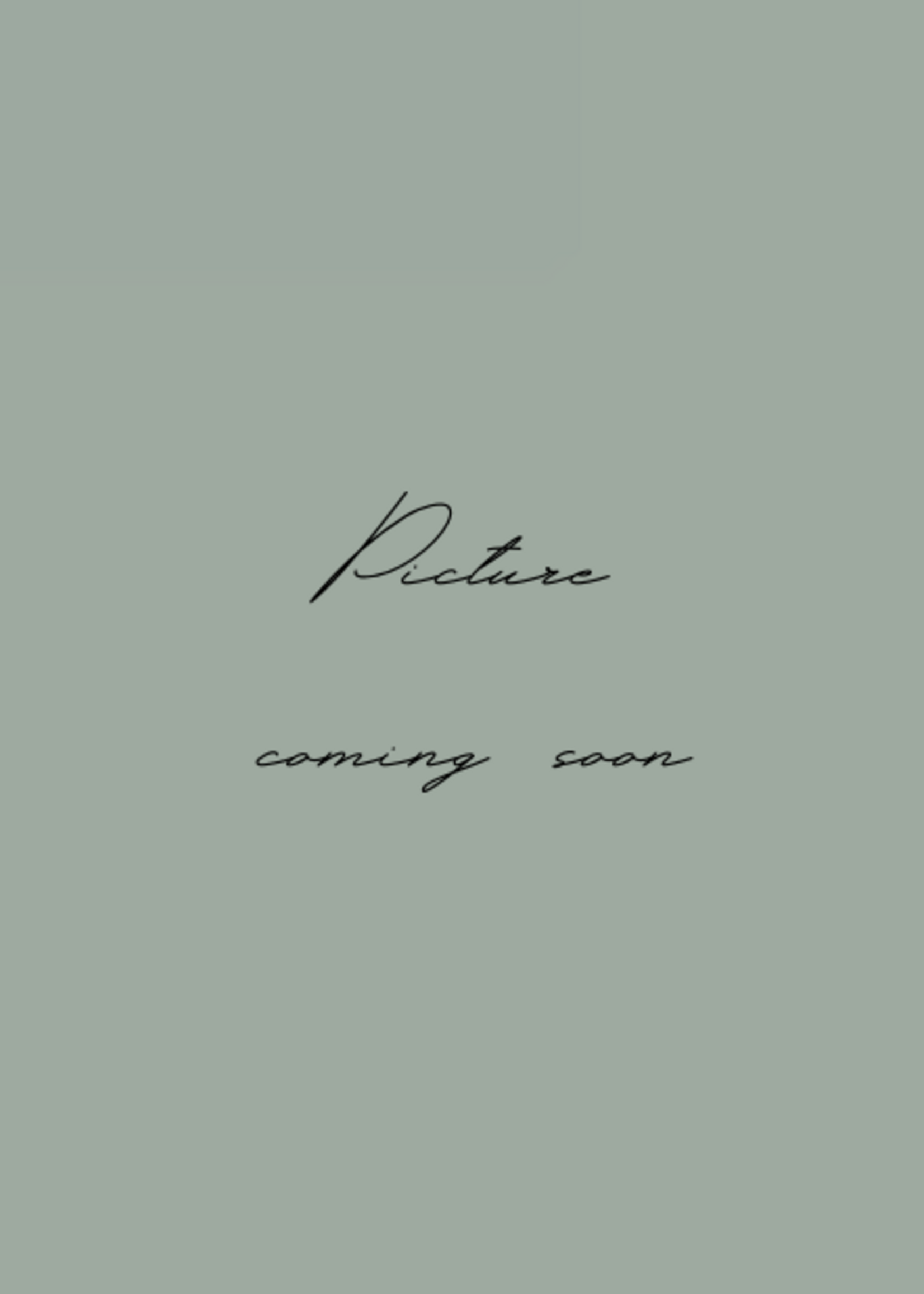 Montblanc Meisterstück Romeo & Juliet Limited Editon 811 Legrand Vulpen (Au750/18K)