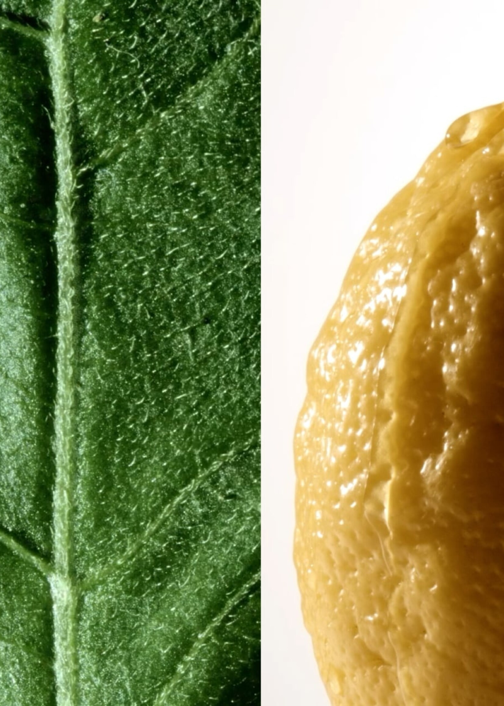 Montblanc "Collection"  Eau de Parfum 125 ml Patchouli Ink - Dark Woods