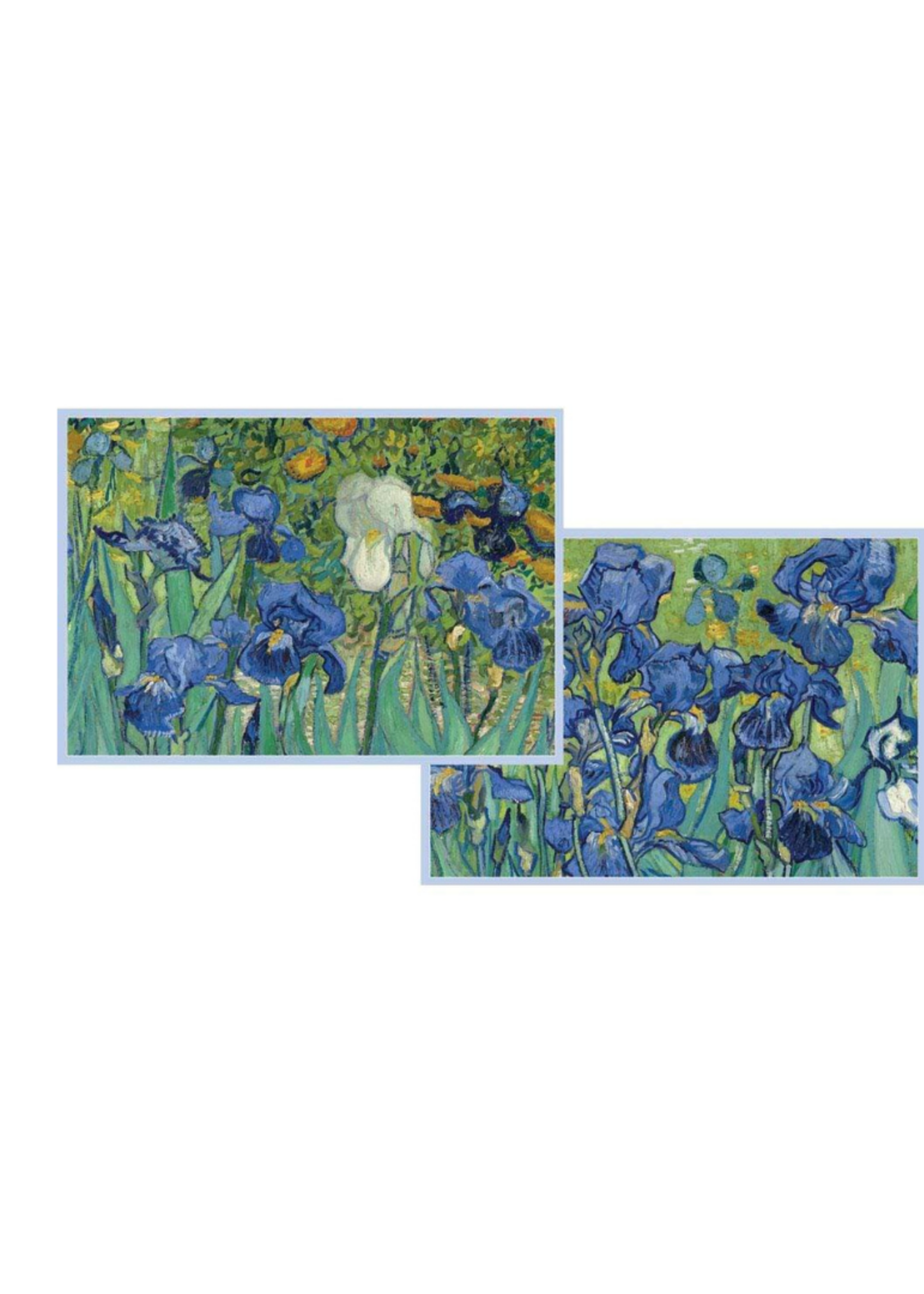 Caspari Wenskaarten verp./8 Art All Season - Van Gogh Irises