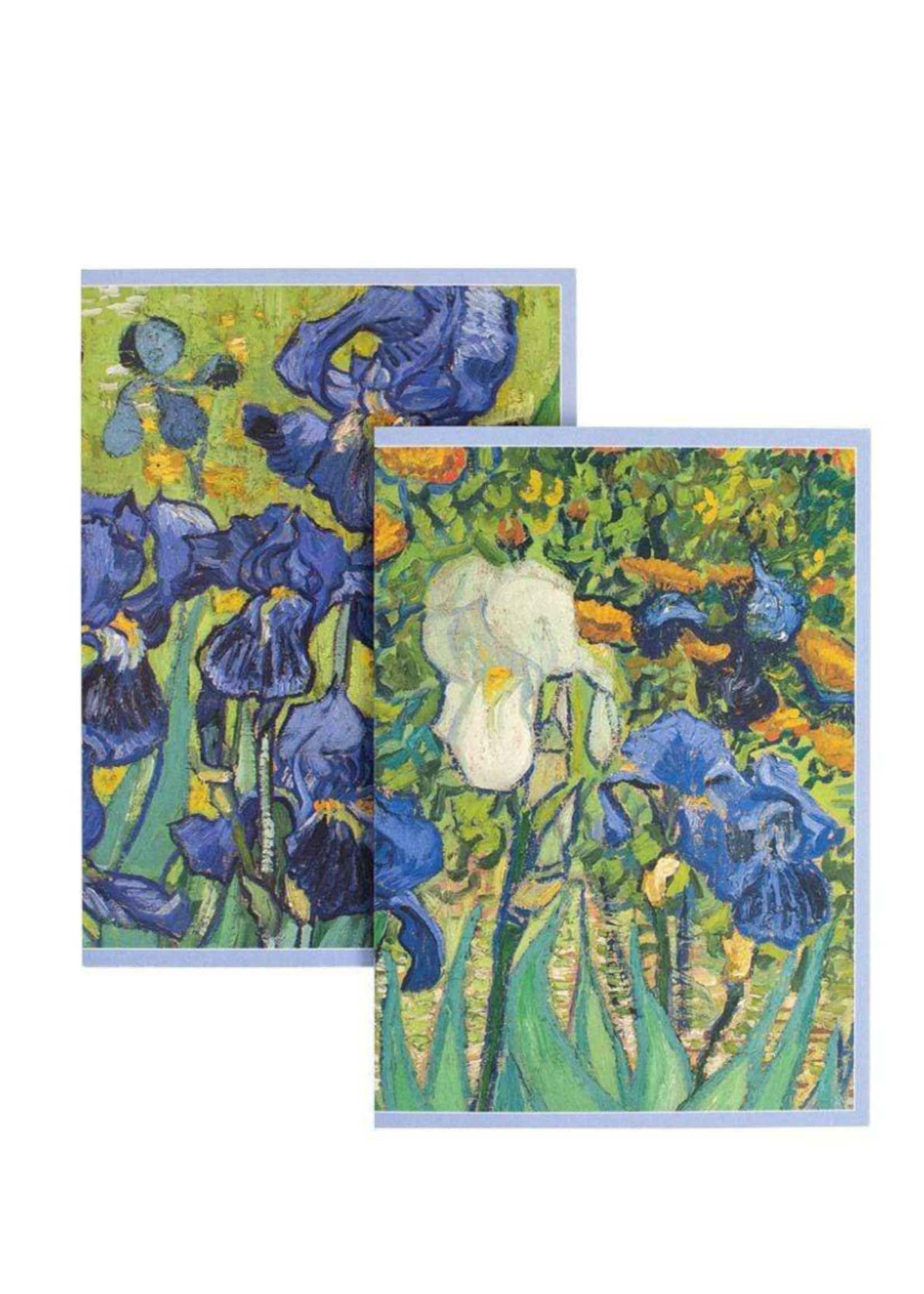 Caspari Wenskaarten verp./8 Art All Season - Van Gogh Irises