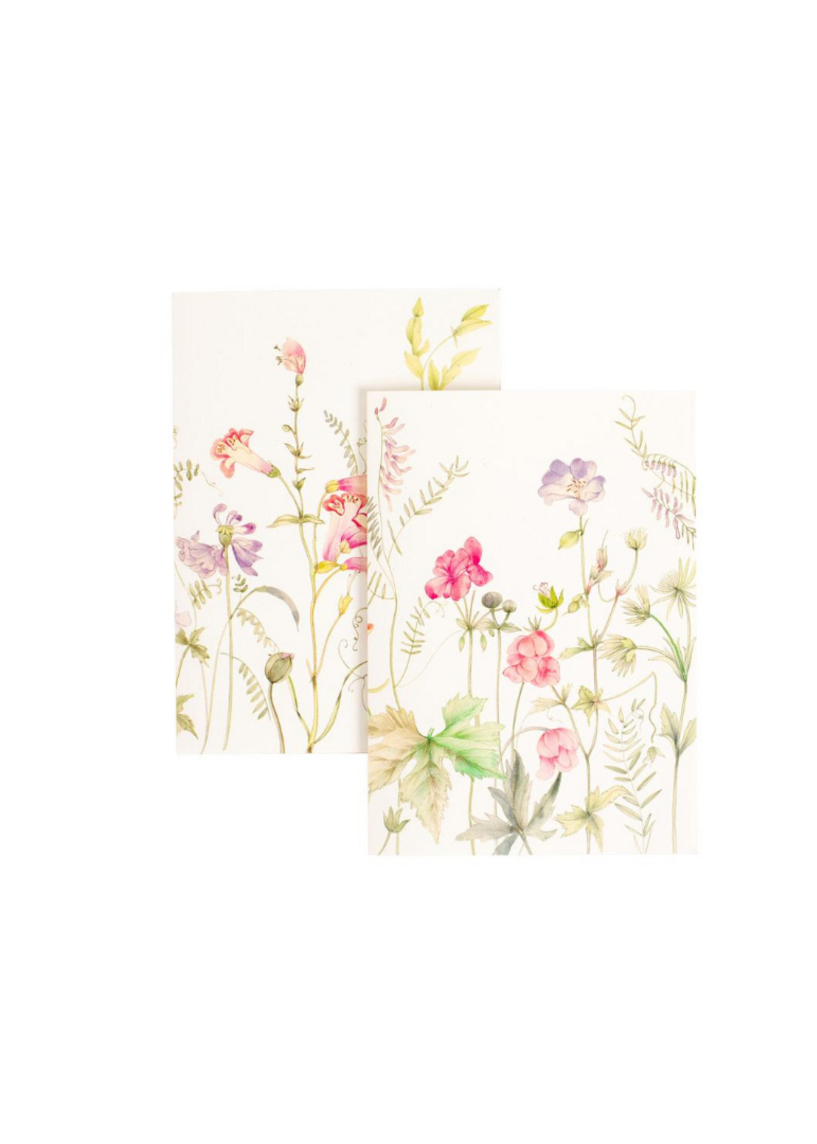 Caspari Wenskaarten verp./8 Art All Season - French Floral