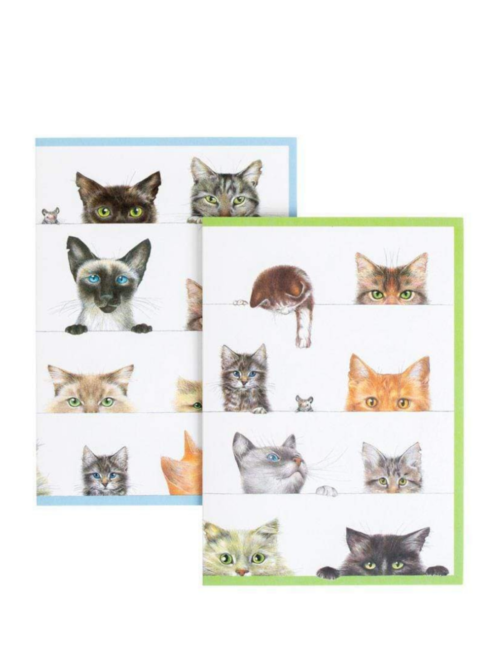 Caspari Wenskaart Art All Season verp./8 Kitties