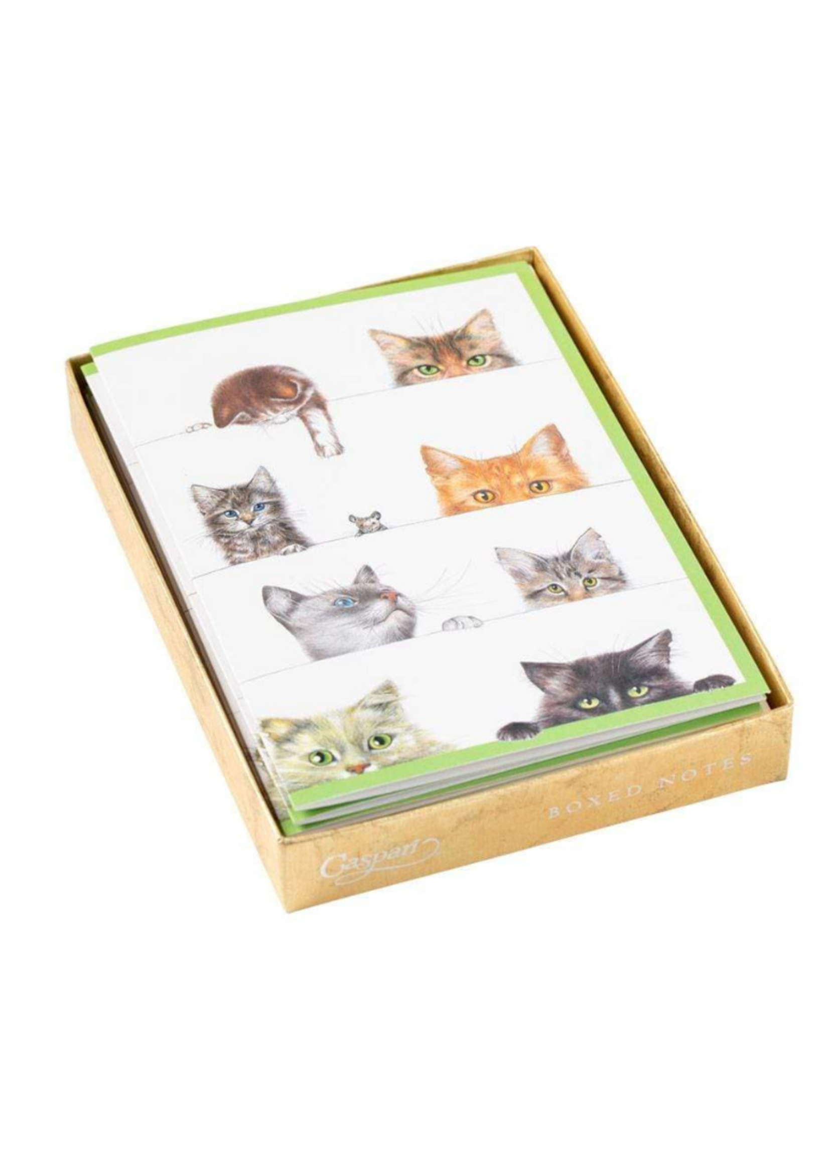 Caspari Wenskaarten verp./8 Art All Season - Kittens