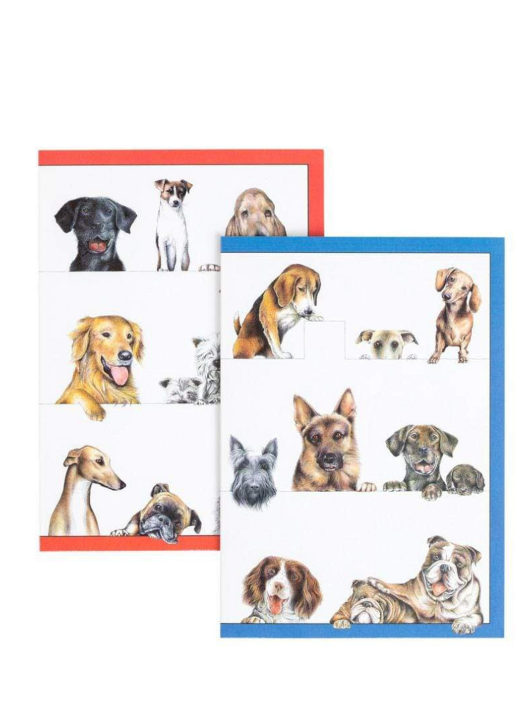 Caspari Wenskaarten verp./8 Art All Season - Dogs