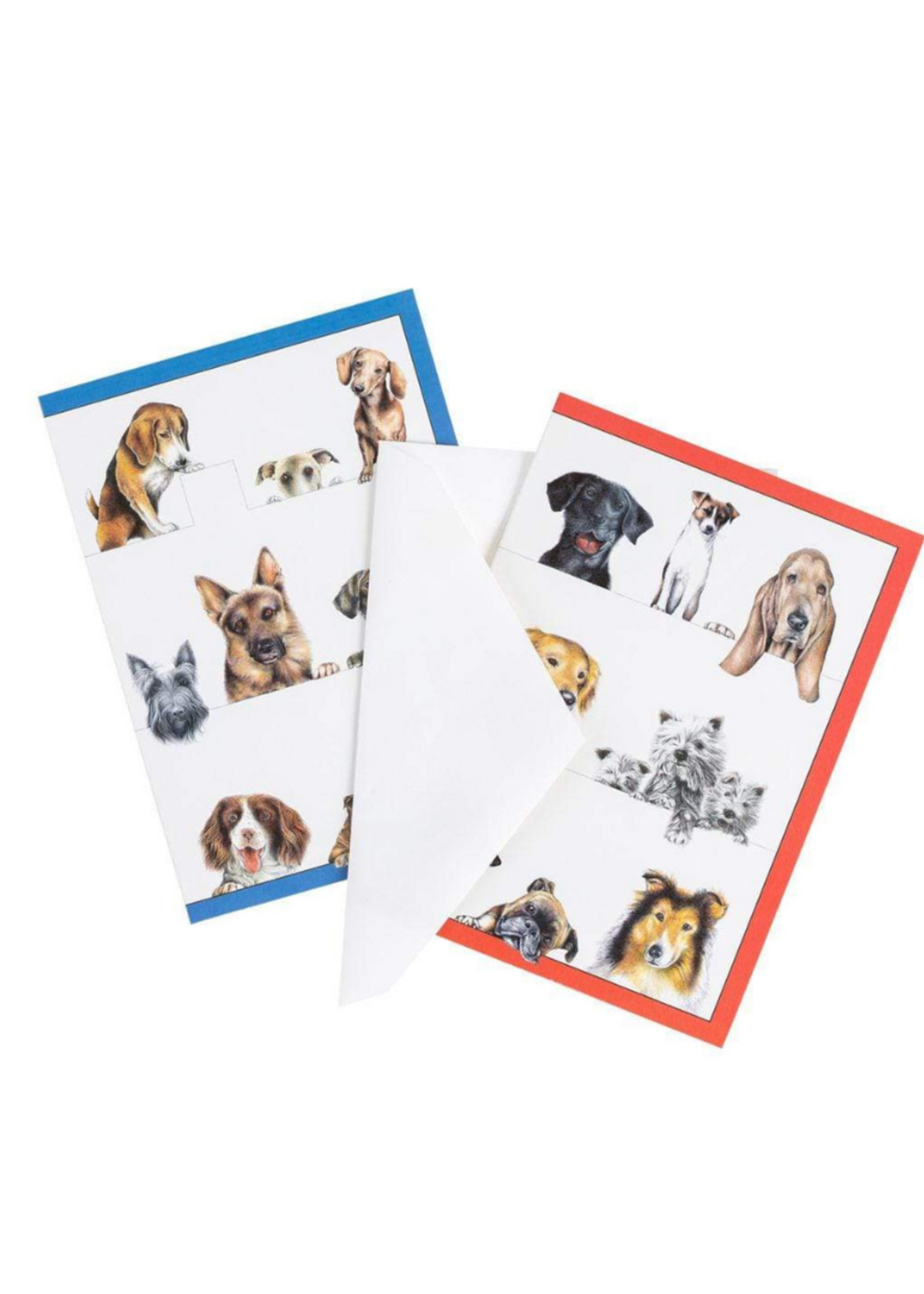 Caspari Wenskaart Art All Season verp./8 Dogs