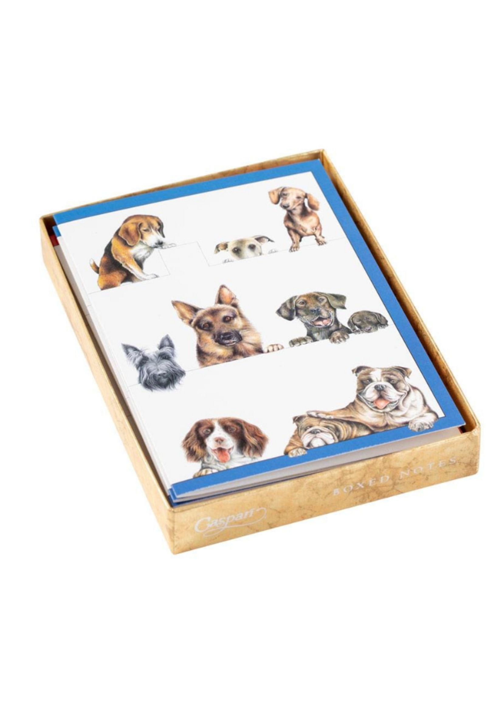 Caspari Wenskaarten verp./8 Art All Season - Dogs