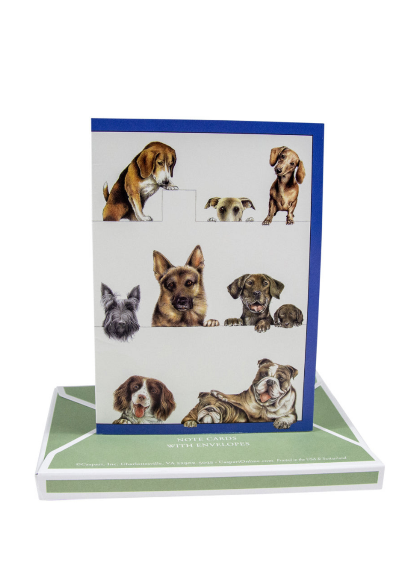 Caspari Wenskaart Art All Season verp./8 Dogs