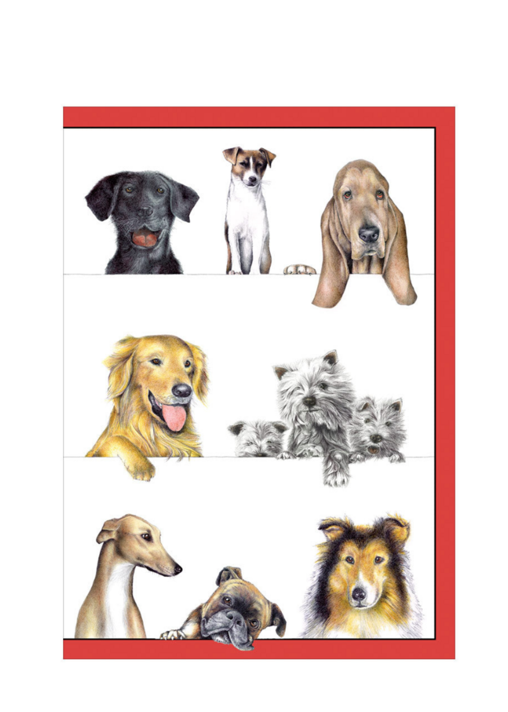 Caspari Wenskaarten verp./8 Art All Season - Dogs