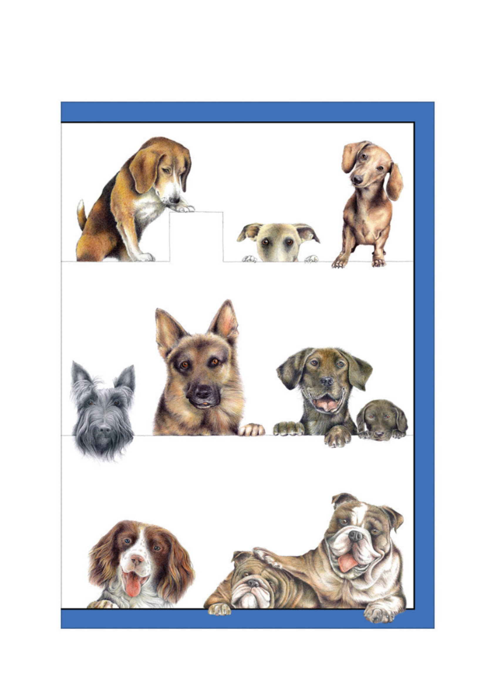 Caspari Wenskaart Art All Season verp./8 Dogs