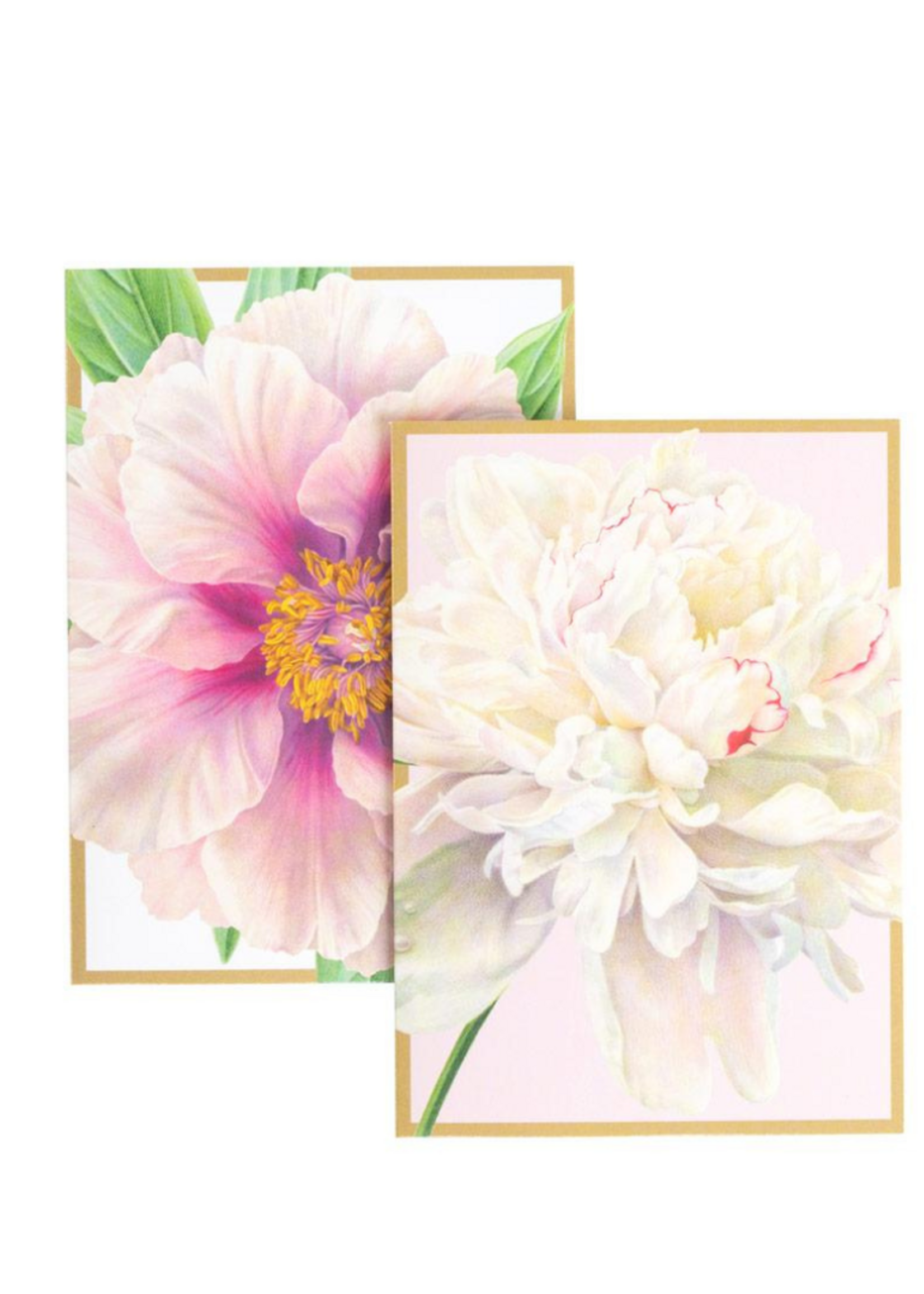 Caspari Wenskaarten verp./8 Art All Season - Peony