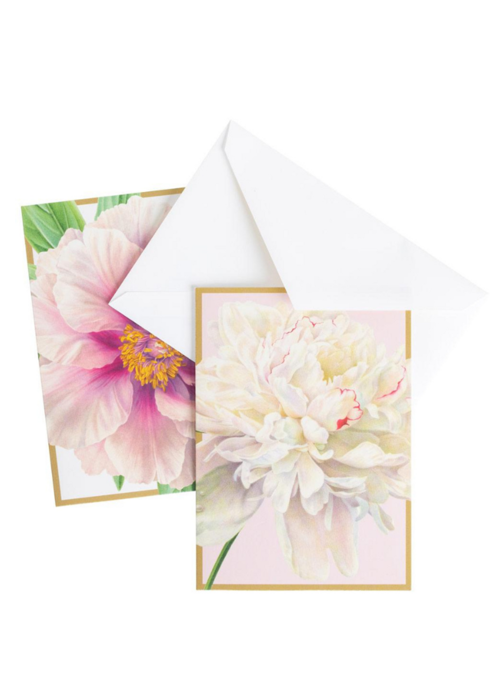 Caspari Wenskaarten verp./8 Art All Season - Peony