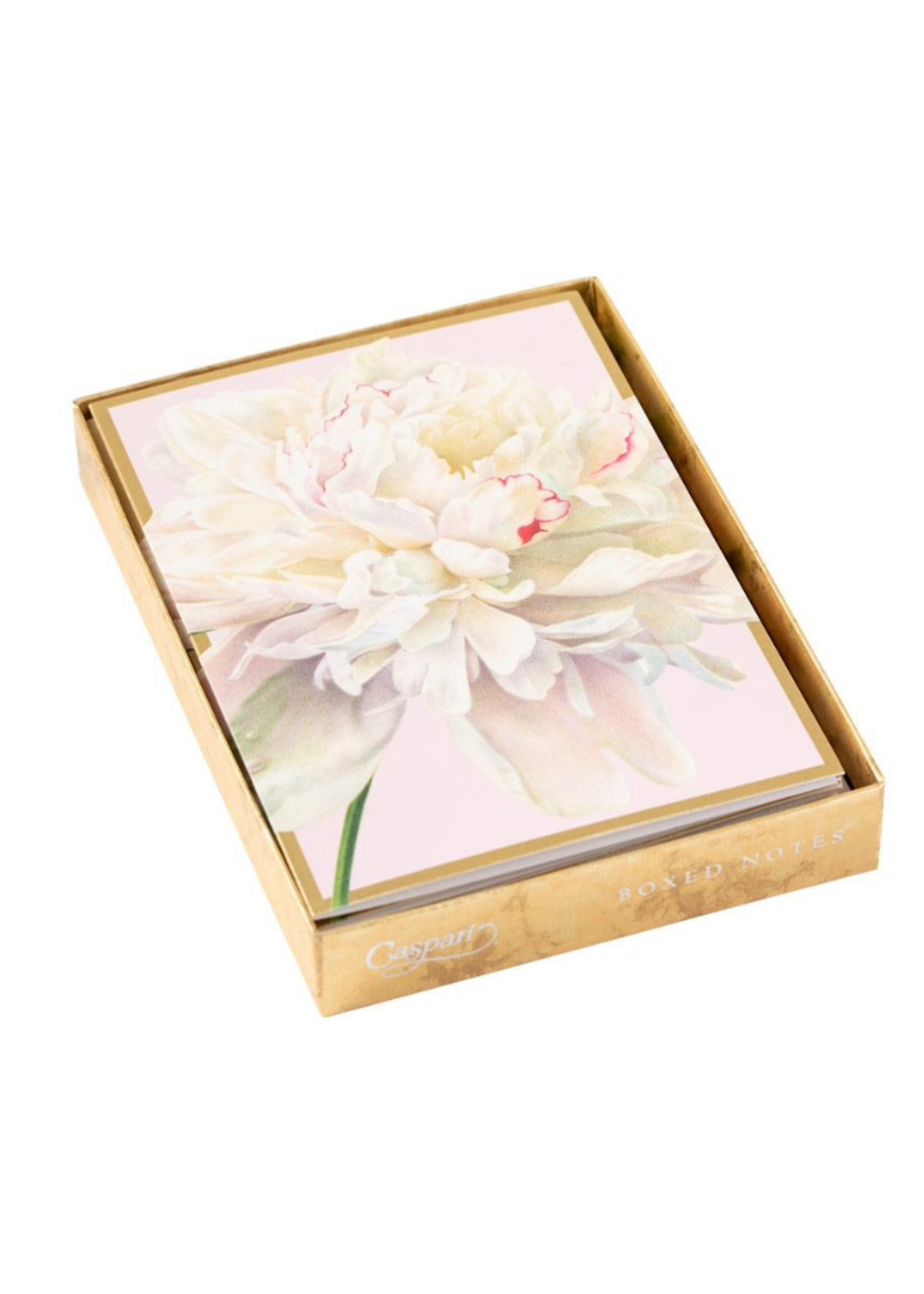 Caspari Wenskaarten verp./8 Art All Season - Peony