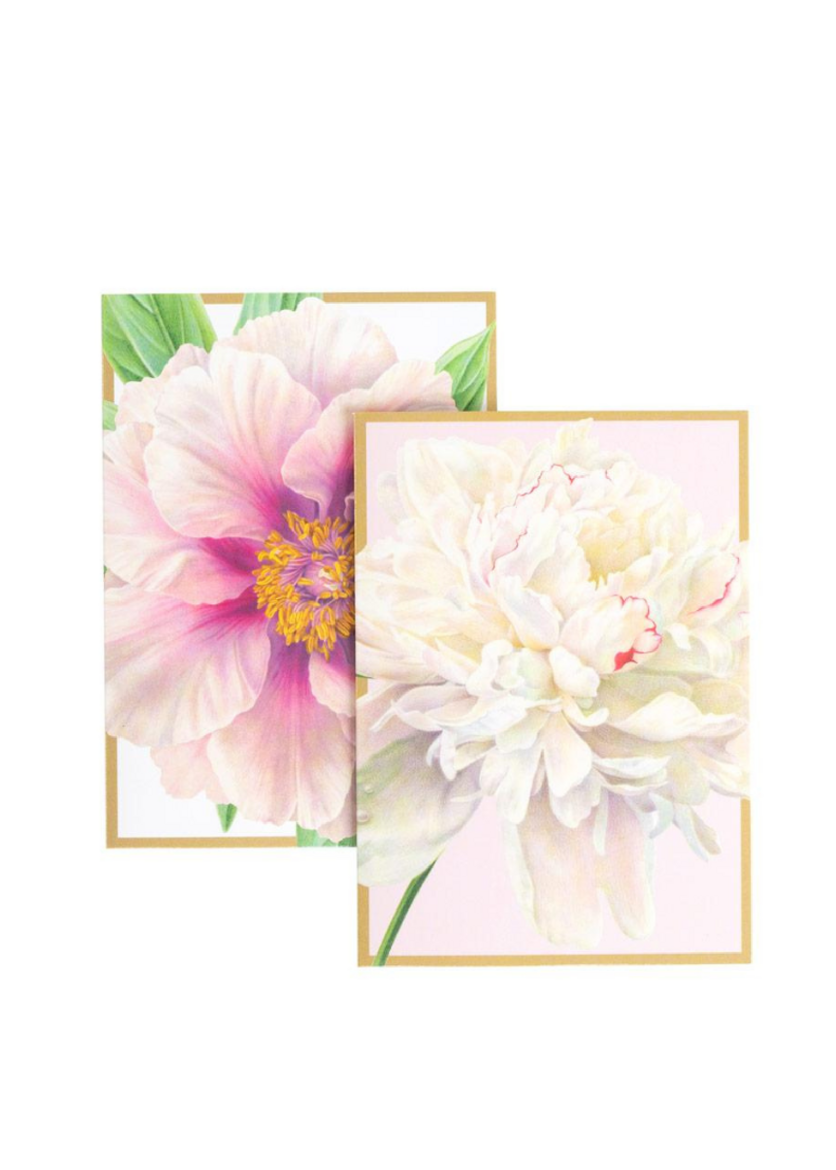 Caspari Wenskaarten verp./8 Art All Season - Peony