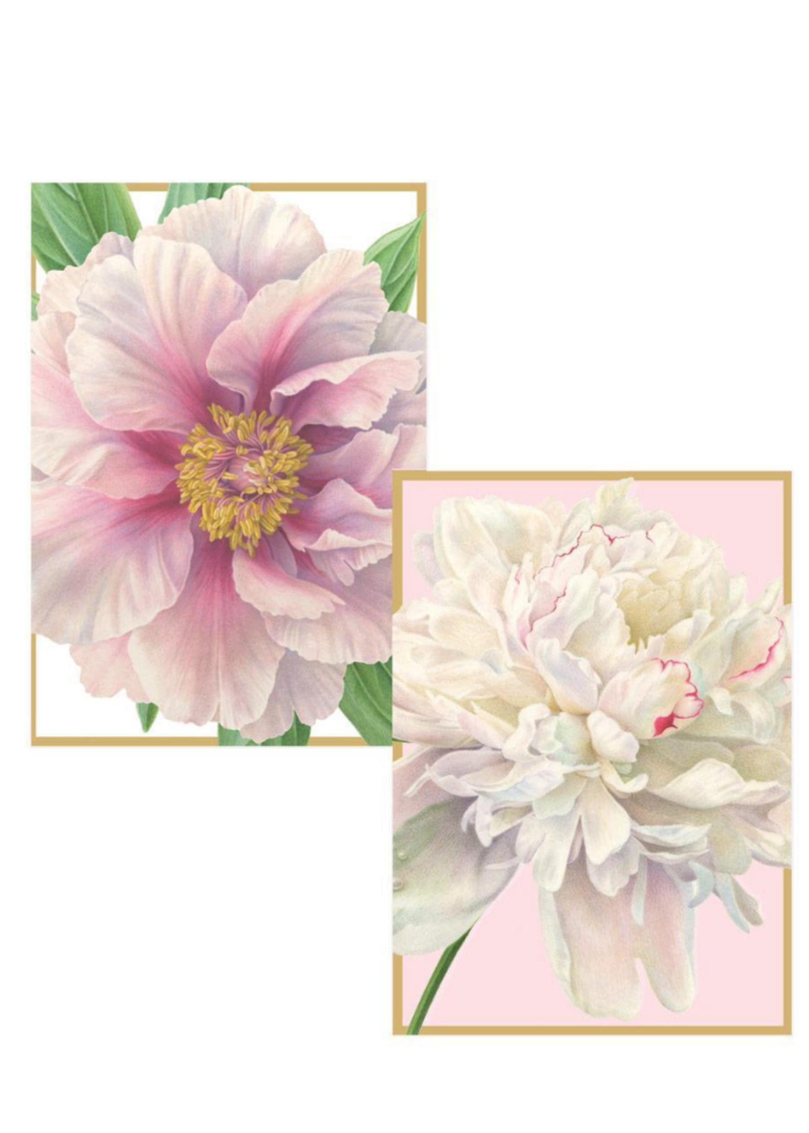 Caspari Wenskaarten verp./8 Art All Season - Peony