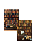 Caspari Wenskaarten verp./8 Art All Season The Libary