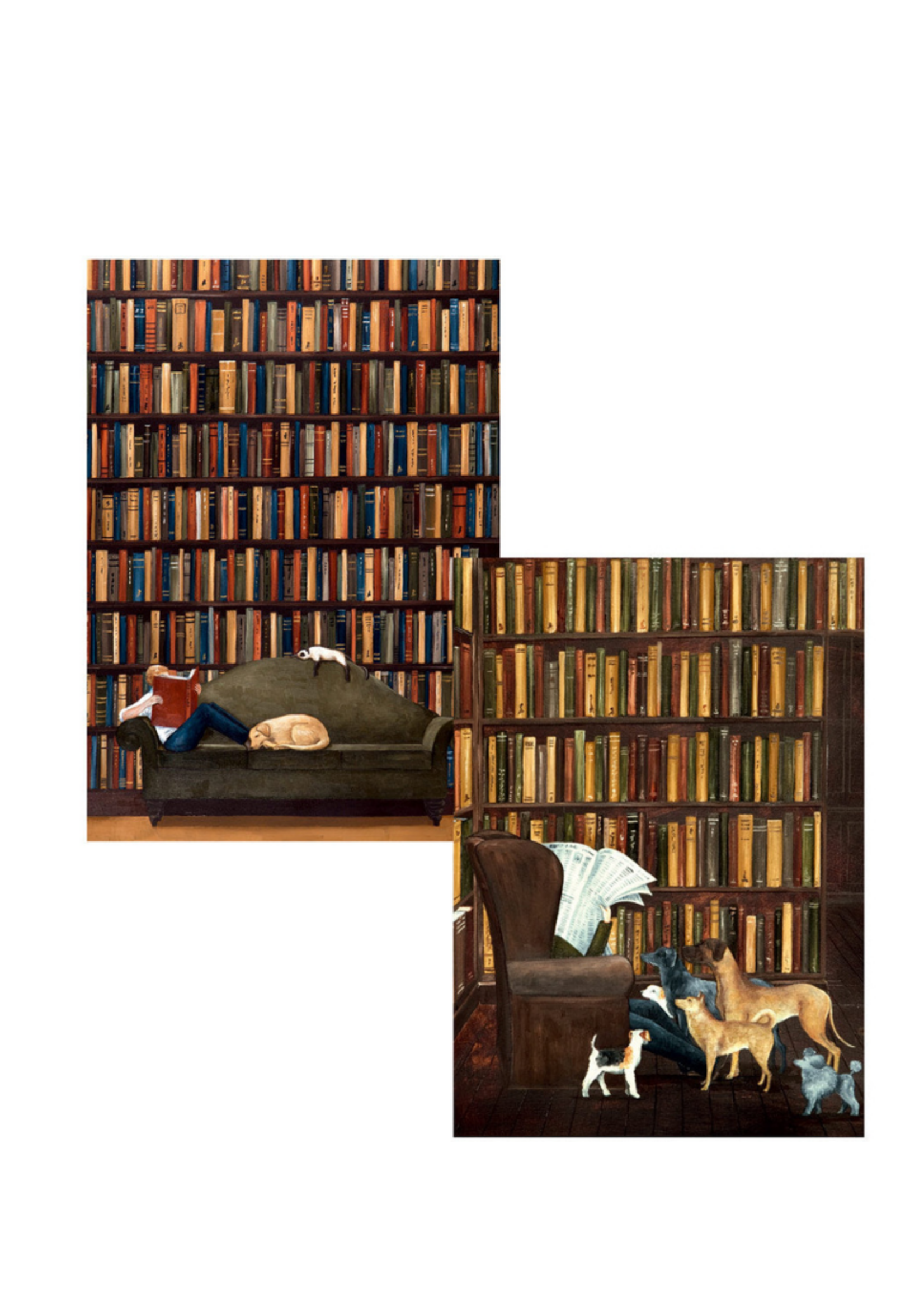 Caspari Wenskaarten verp./8 Art All Season - The Libary